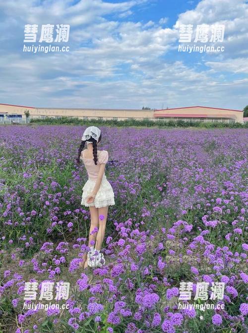 五一吃瓜黑料登录攻略，轻松掌握热门事件动态
