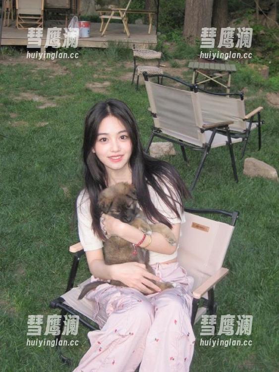 粉丝聚集免费吃瓜网，观看最新视频不花一分钱