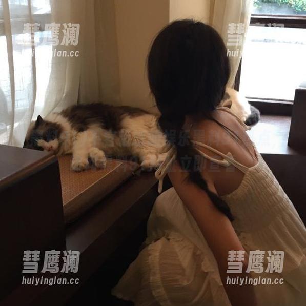 不容错过的娱乐黑料91热点，访问黑料91网址立即查看