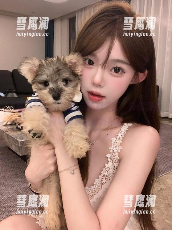 黑料专区 独家登录黑料专区,带你深度揭秘娱乐圈黑暗内幕