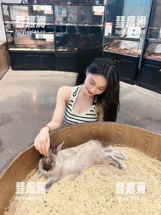 永不迷路的黑料网hlw10，动漫游戏秘闻全掌握